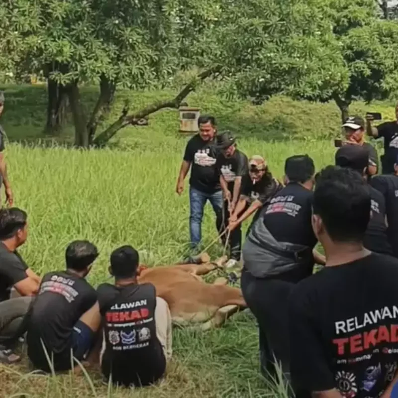 Aliansi Ormas Bekasi Kurban