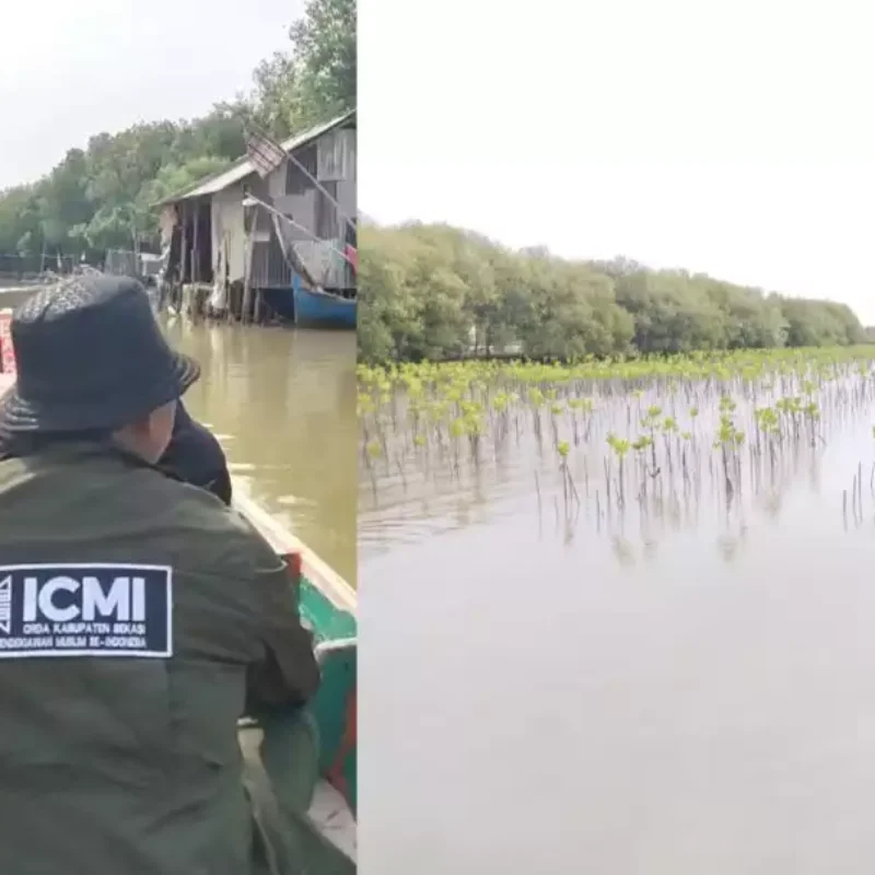 Penanaman Mangrove Muara Gembong