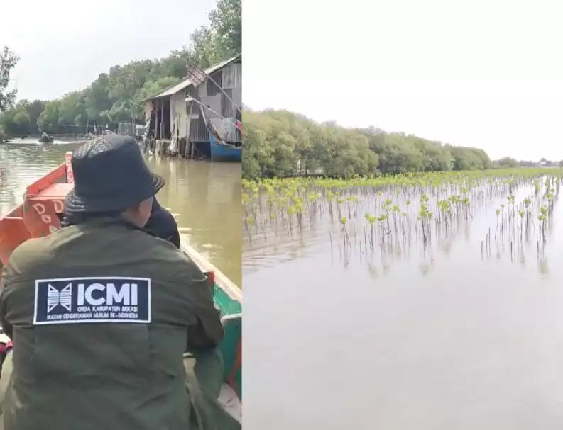 Penanaman Mangrove Muara Gembong
