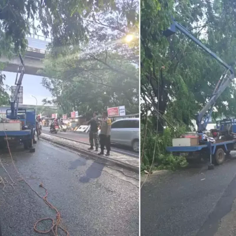 Pohon Tumbang Jalan Lambangsari