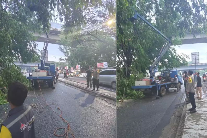 Pohon Tumbang Jalan Lambangsari