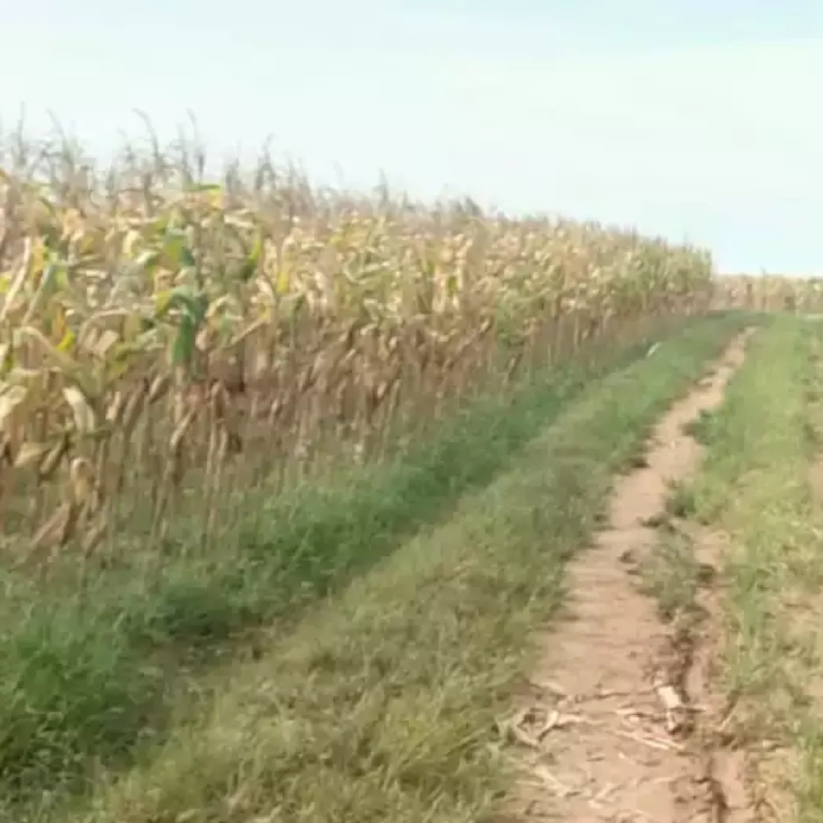 Kapolsek Cikarang Pusat