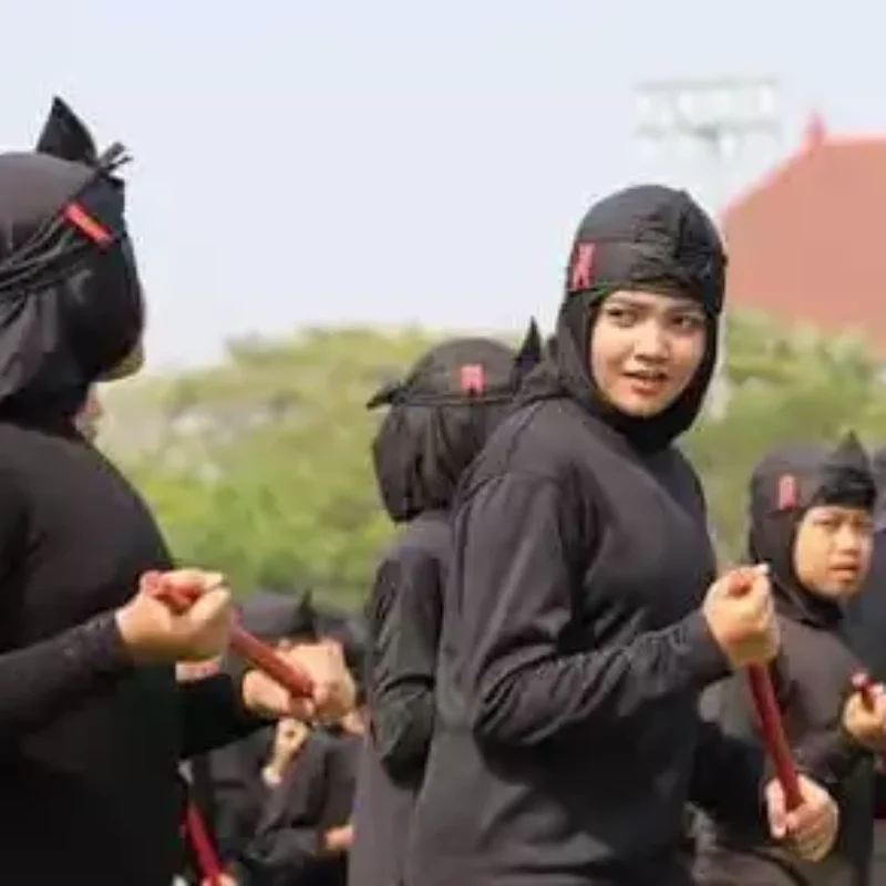 Seni Ujungan