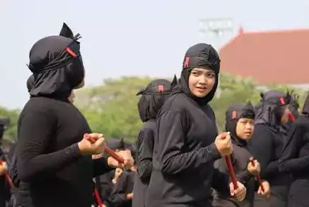 Seni Ujungan